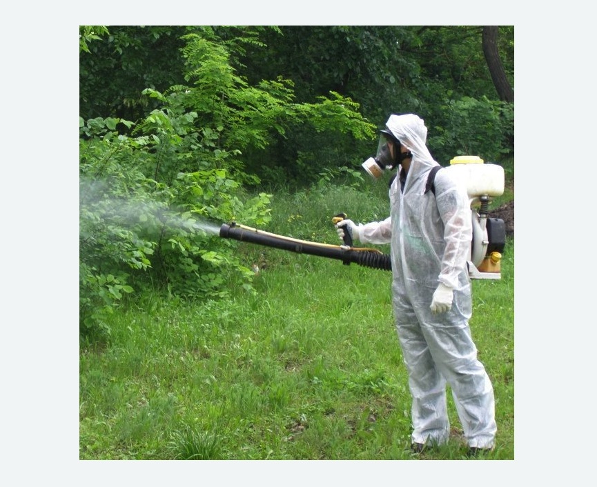 обработка территории от клещей в Макарьеве