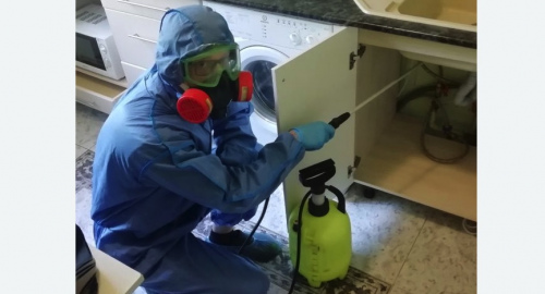 Уничтожение муравьев в квартире. Макарьев