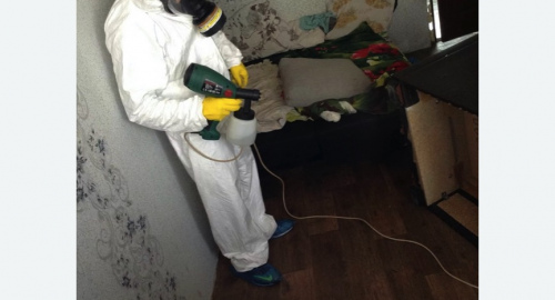 Обработка квартир от насекомых в Макарьеве