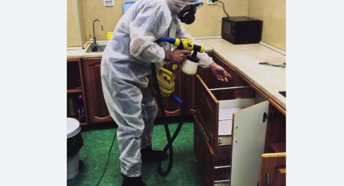 Дезинсекция квартиры. Макарьев