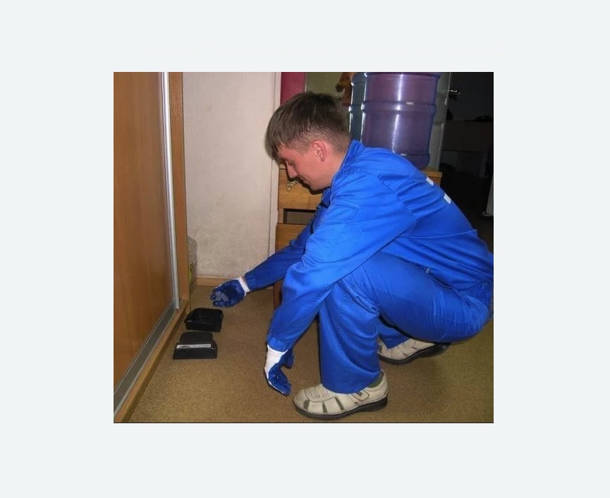 Дератизация крыс в Макарьеве