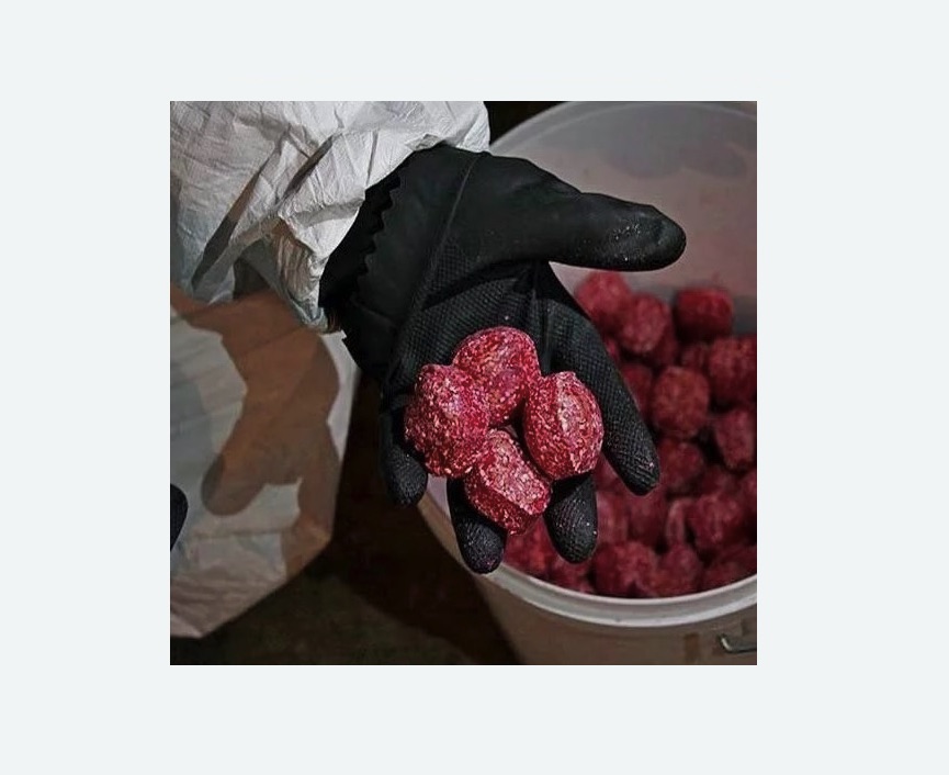 Обработка от крыс в Макарьеве