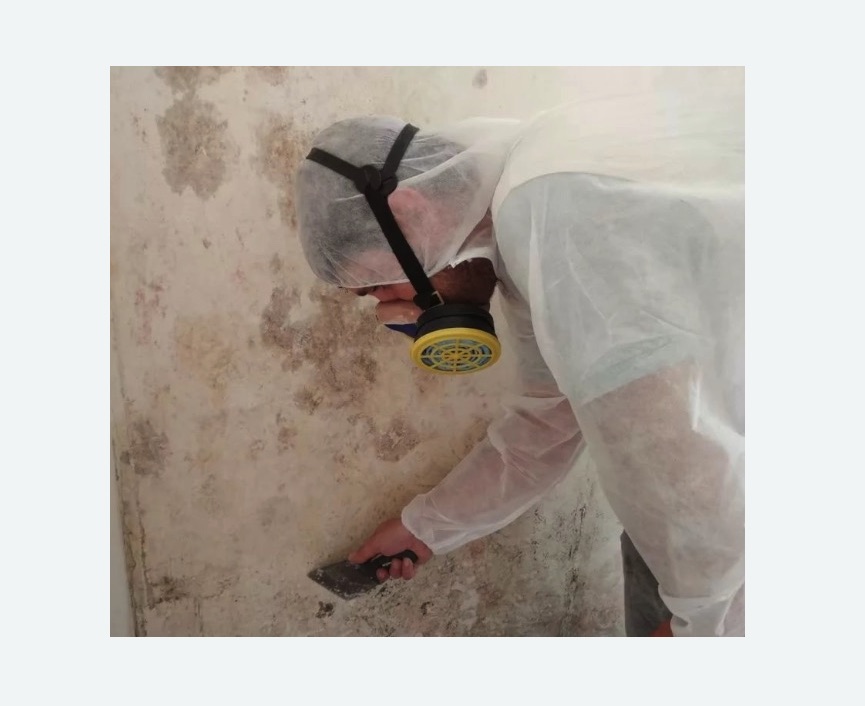 Обработка стен от плесени в Макарьеве