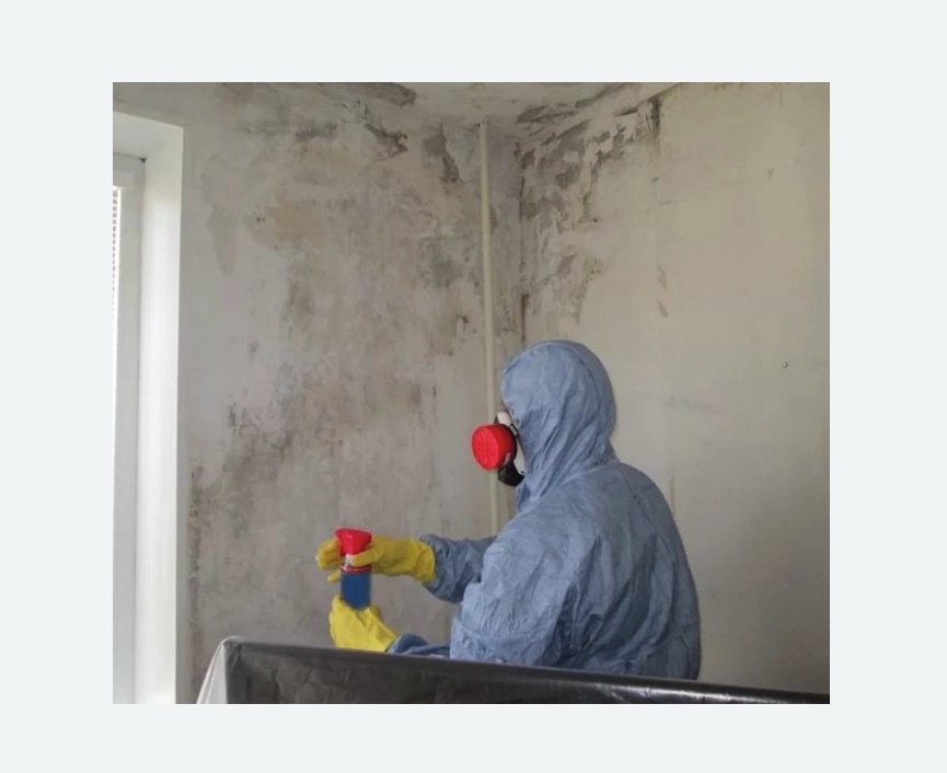 Удаление плесени в квартире в Макарьеве