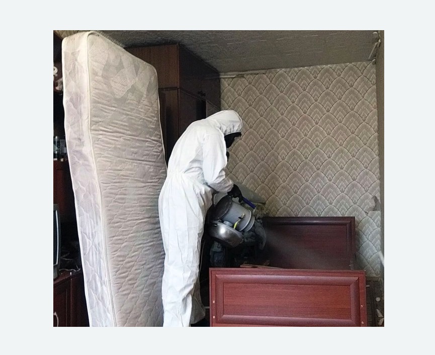 дезинфекция от клопов в Макарьеве