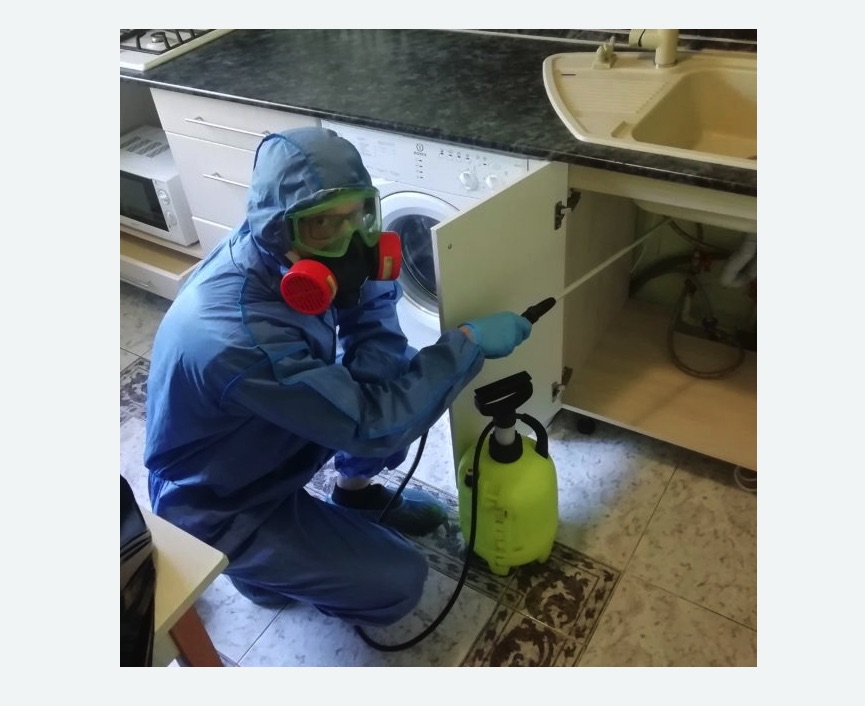 обработка от муравьев в квартире в Макарьеве