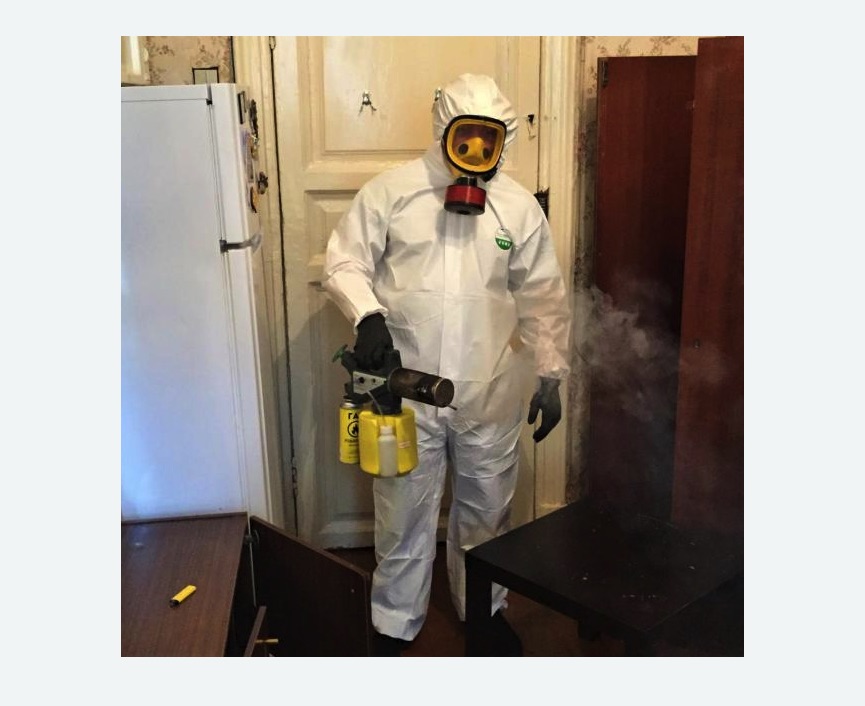 уничтожение муравьев в квартире в Макарьеве